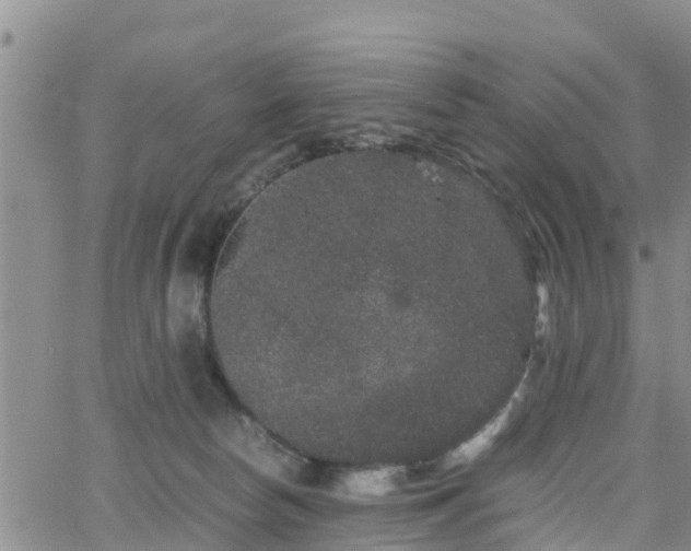 X0000063500178200601231446