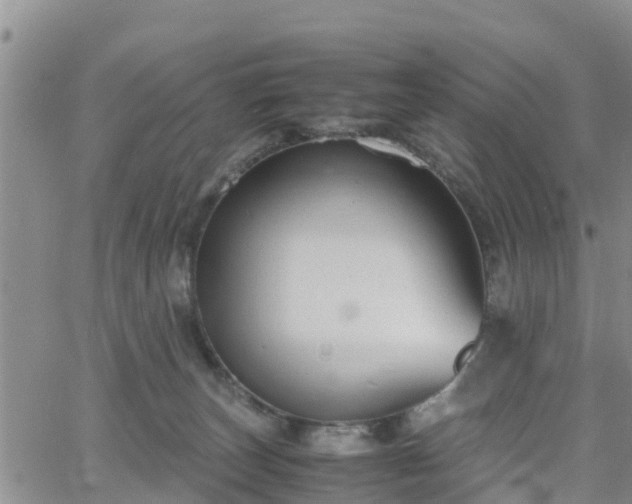 X0000063500179200601231446