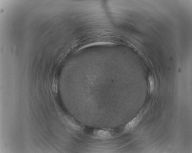 X0000063500180200601231446