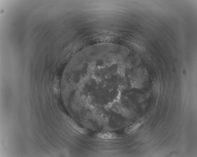 X0000063500181200601231446