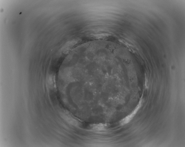 X0000063500182200601231446