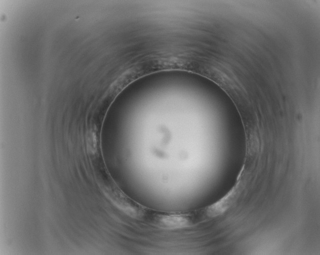 X0000063500183200601231446