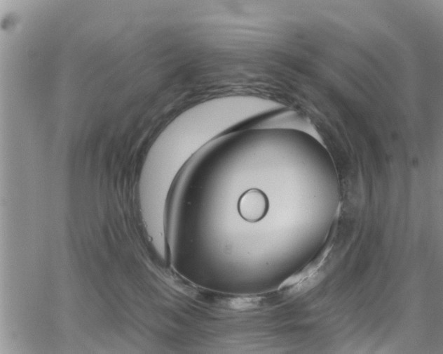 X0000063500184200601231446