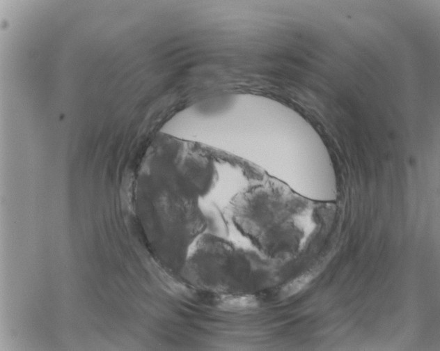 X0000063500185200601231446