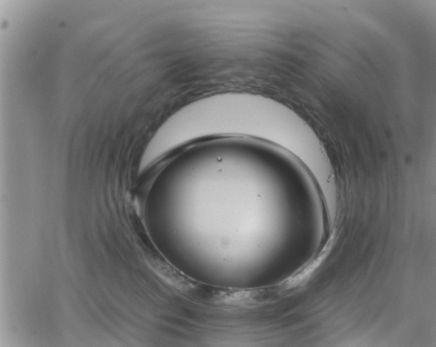 X0000063500186200601231446