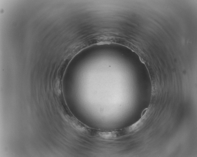 X0000063500187200601231446