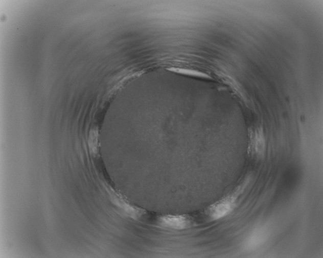 X0000063500189200601231446