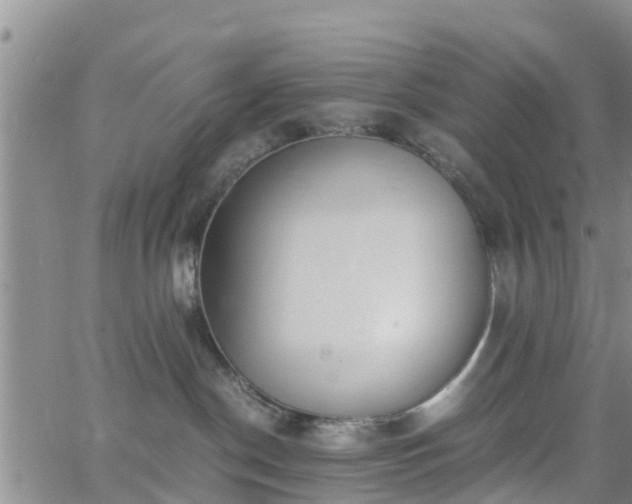 X0000063500190200601231446