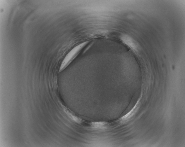 X0000063500192200601231446