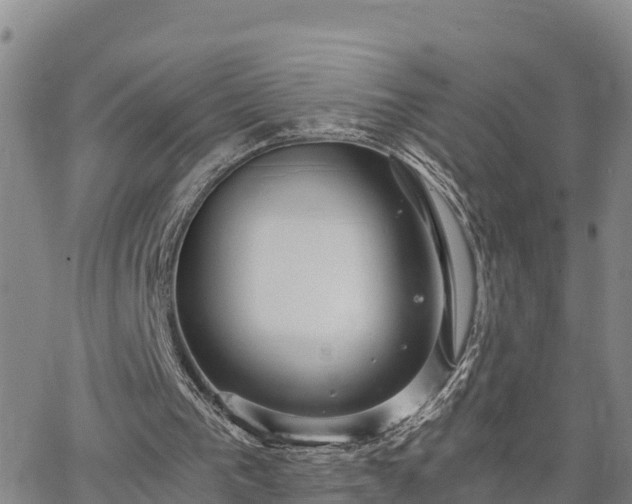 X0000063500193200601231446