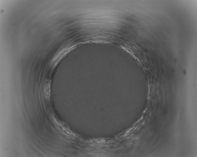 X0000063500194200601231446