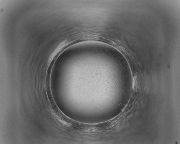 X0000063500195200601231446