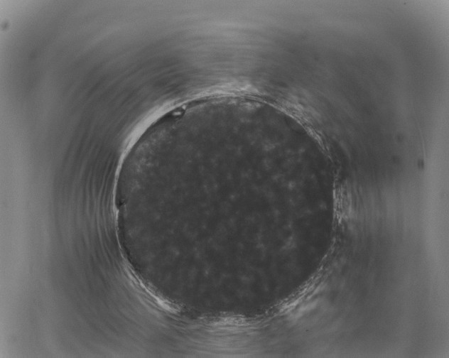 X0000063500196200601231446