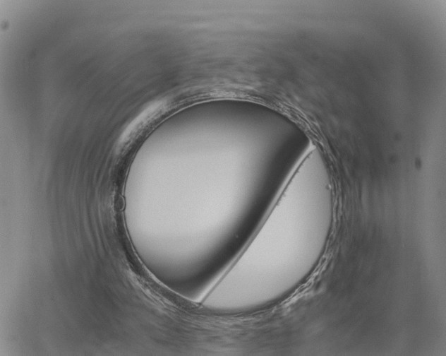 X0000063500197200601231445