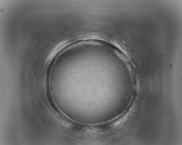 X0000063500199200601231445