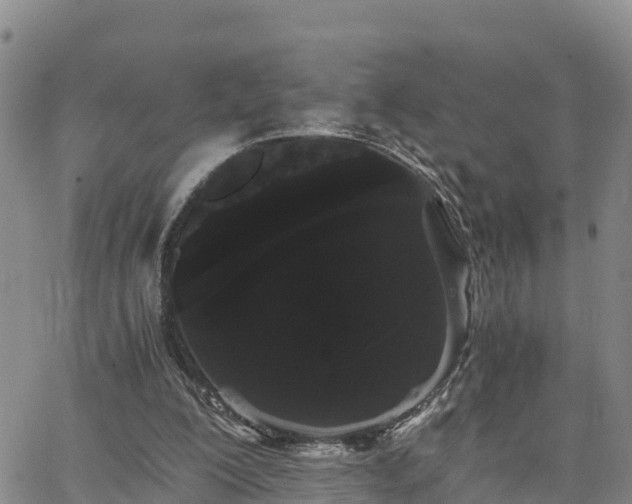 X0000063500200200601231445