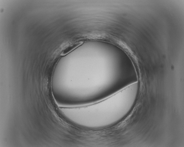 X0000063500201200601231445