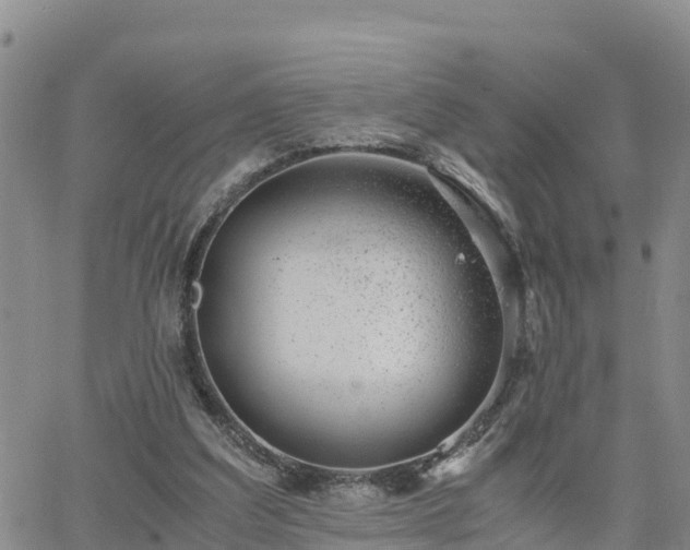 X0000063500203200601231445