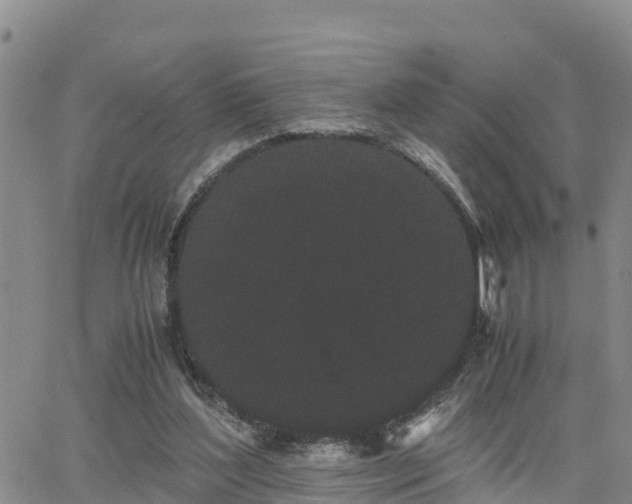 X0000063500204200601231445