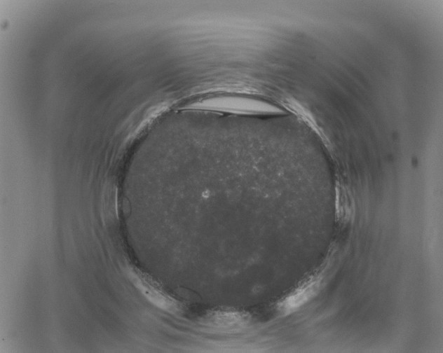 X0000063500205200601231445