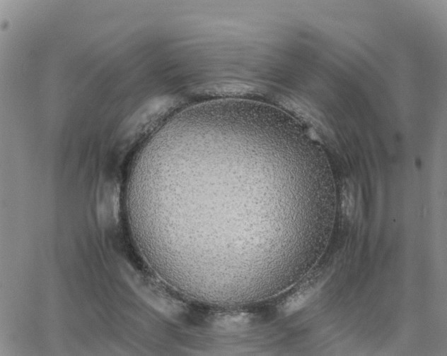 X0000063500206200601231445