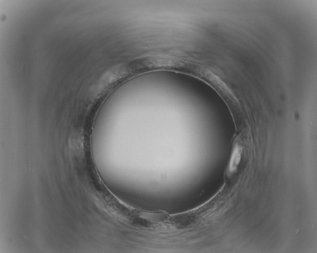 X0000063500207200601231445