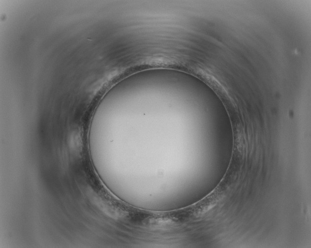 X0000063500208200601231445