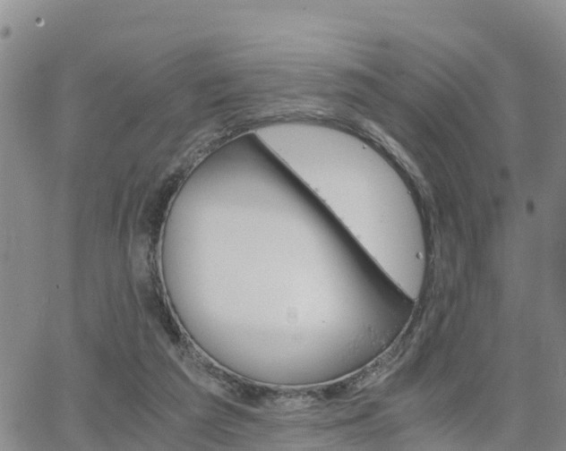 X0000063500209200601231445