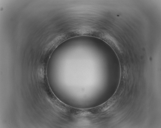 X0000063500210200601231445