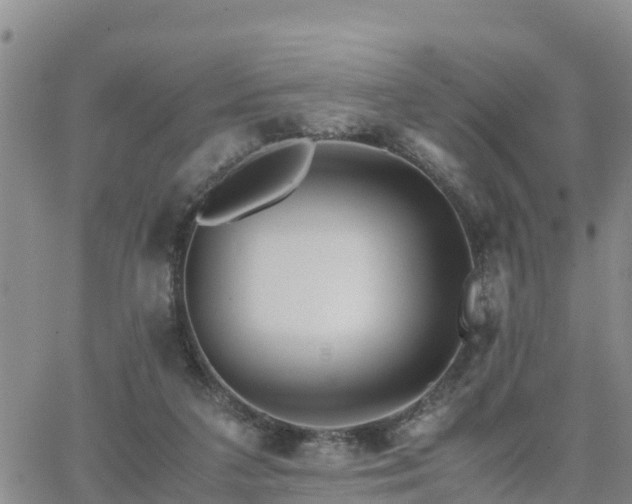 X0000063500211200601231445