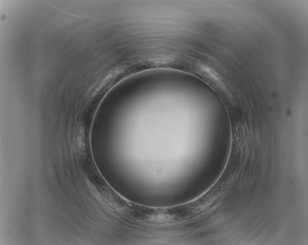 X0000063500212200601231445