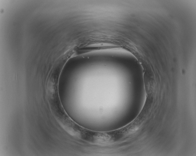 X0000063500215200601231445