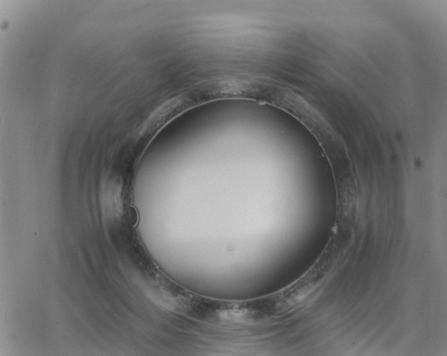 X0000063500216200601231445