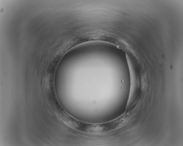 X0000063500217200601231445