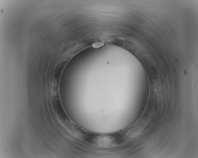 X0000063500218200601231445