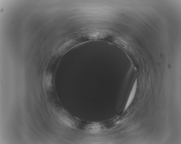 X0000063500219200601231445