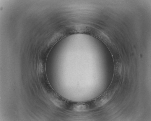 X0000063500220200601231445