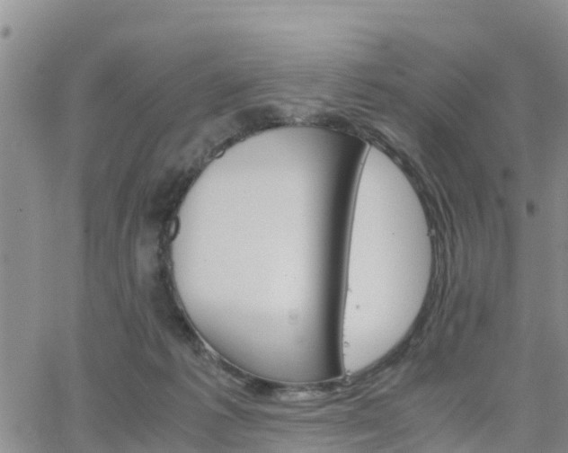 X0000063500221200601231445