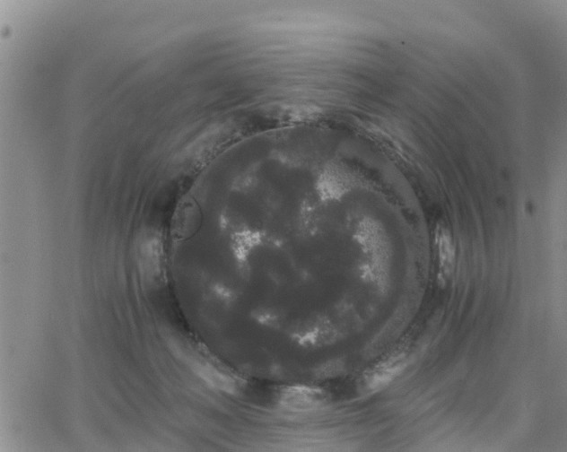 X0000063500222200601231445