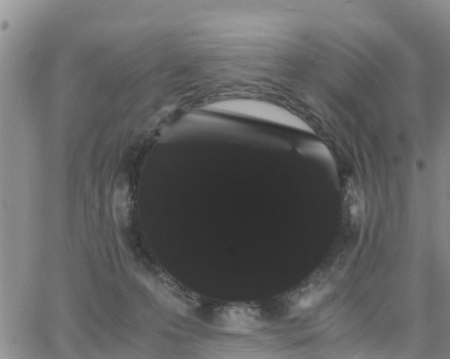 X0000063500223200601231445