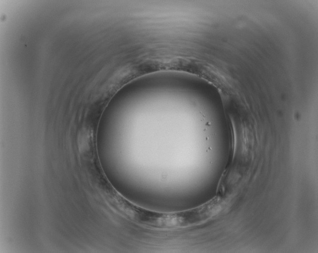 X0000063500225200601231445