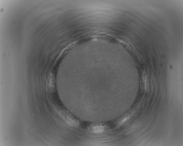 X0000063500228200601231445