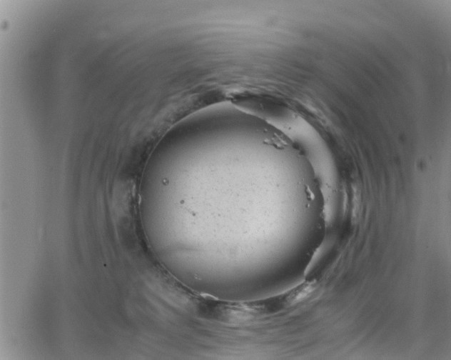 X0000063500229200601231445