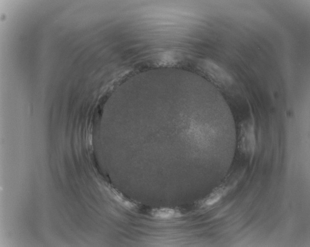 X0000063500230200601231445