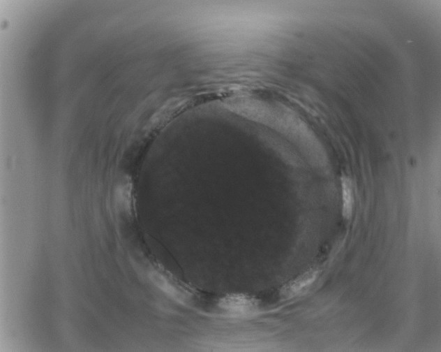 X0000063500231200601231445