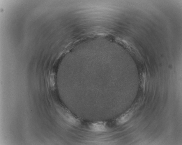 X0000063500232200601231445