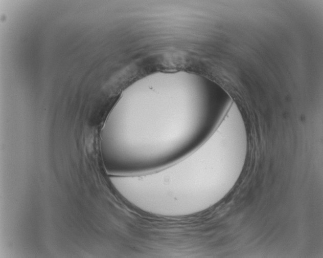 X0000063500233200601231445