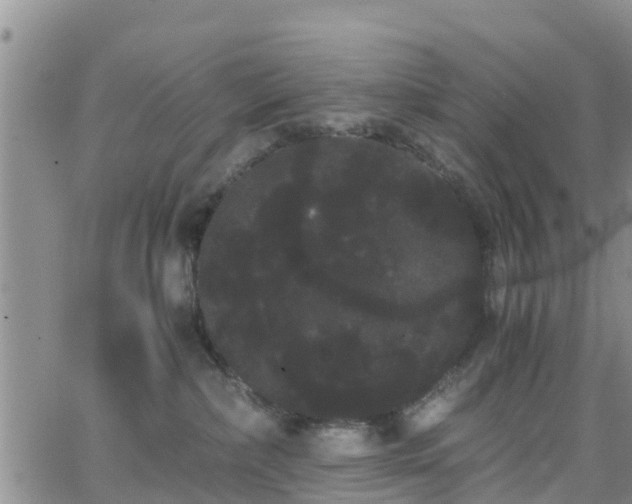 X0000063500236200601231445