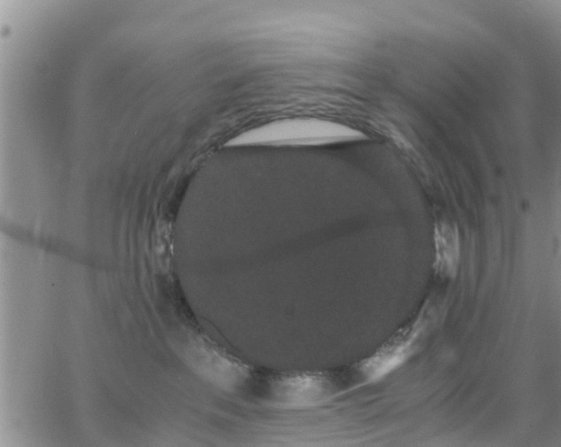 X0000063500237200601231445