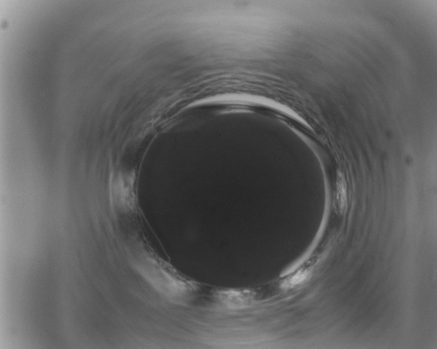 X0000063500239200601231445